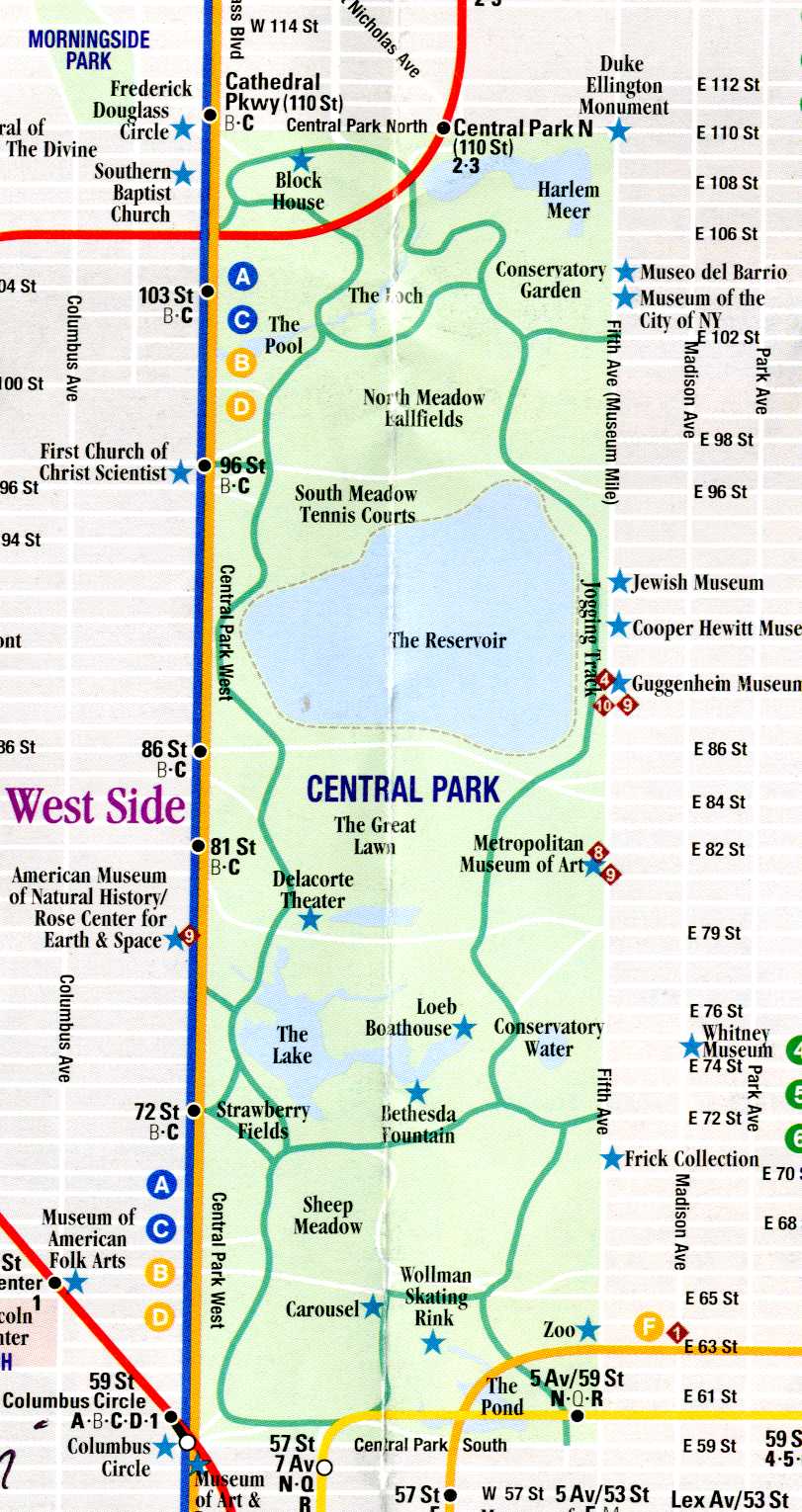 A Tempo Run in Central Park | TeamRunningFree.com